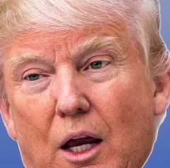 Song of the Week: Trump Lumpa