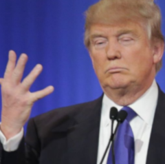Small Hands