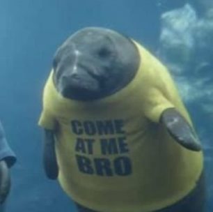 Manatees in Novelty Tees