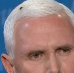 Song of the Week: Mike Pence’s Fly