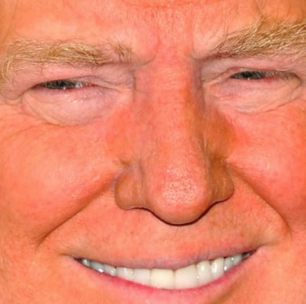 Song of the Week: Let It Go, Trump