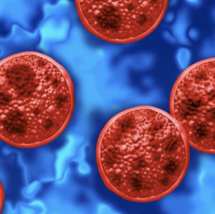 Cyclospora